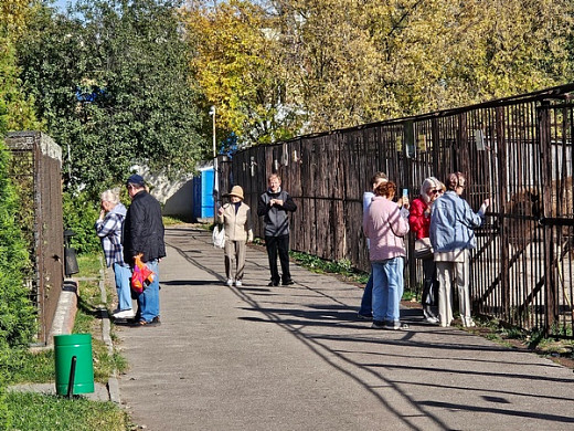  Ивановский зоопарк бесплатно посетили более 500 пенсионеров 