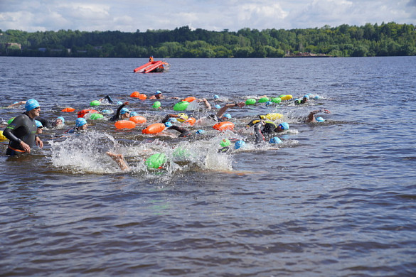 В Кинешме стартовал Кубок Чемпионов Swimсup Open Water
