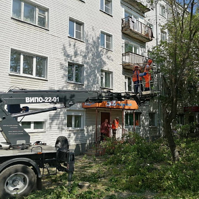 В Иванове на перекрестке  улиц 8 Марта и Калинина спилили аварийные деревья