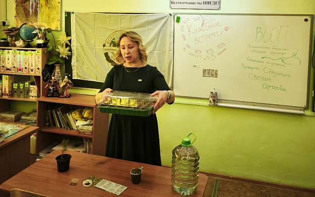 В Иванове высадят деток кремлевской елки