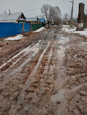 В Ивановской области детей засосала дорожная грязь