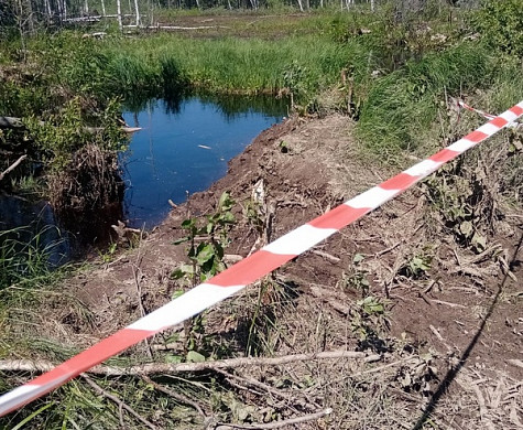 «Ракетные тропы»в Тейковском районе обернулись поломанными деревьями и замусоренным лесом 