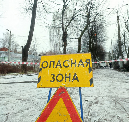  В Иванове обрезают аллею, высаженную по наказу Бурылина 