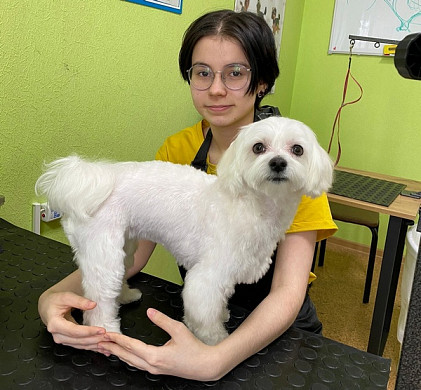  Ивановский юридический колледж выпускает грумеров 