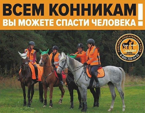 Пропавших людей в Ивановской области будут искать всадники