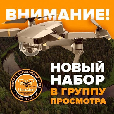 «ЛизаАлерт» ищет волонтёров, которые будут просматривать кадры с беспилотников