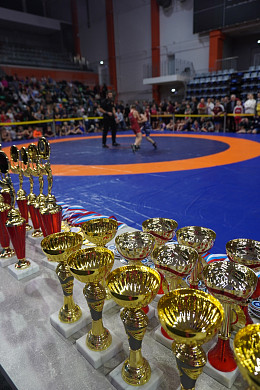 В Ивановской области прошел Чемпионат и Первенство по греко-римской борьбе
