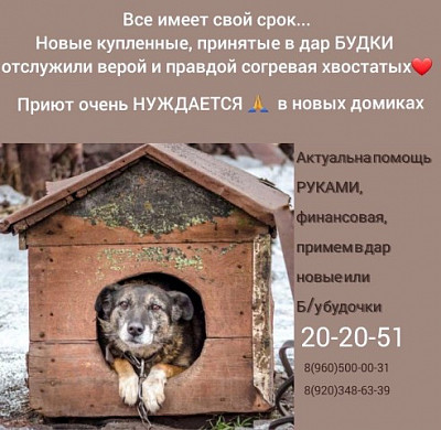 Зима близко: «Майский день» просит ивановцев о помощи