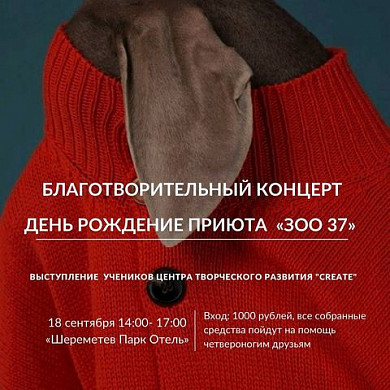 Более 2 тысяч животных пристроил приют «ЗОО 37» за 12 лет