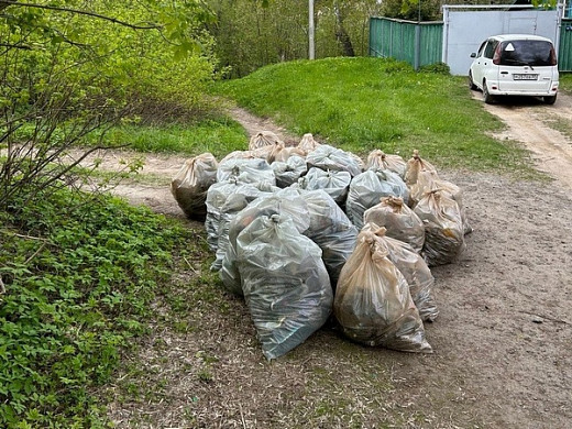  В Иванове из Варгинского оврага вывезли 40 мешков мусора 