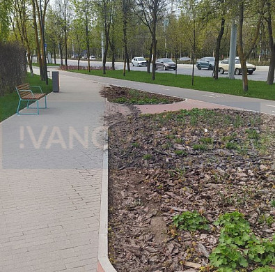  В Иванове тракторист во время уборки портит клумбы в новом сквере 