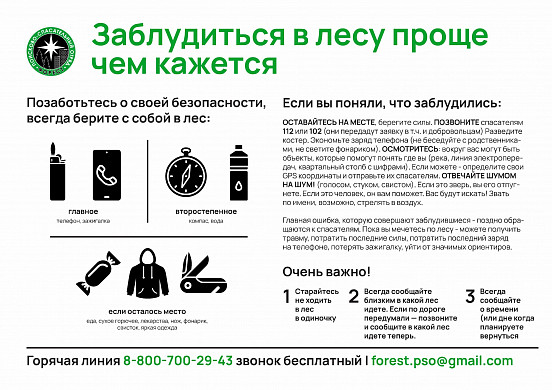 В Ивановской области всю ночь искали по лесам троих мужчин