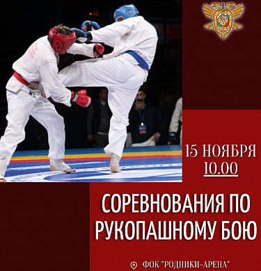 В Ивановской области пройдут соревнования по рукопашному бою