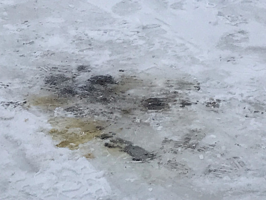 В Приволжске хоккейная команда вступила в конфликт с районной администрацией