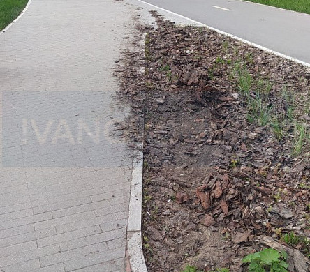  В Иванове тракторист во время уборки портит клумбы в новом сквере 