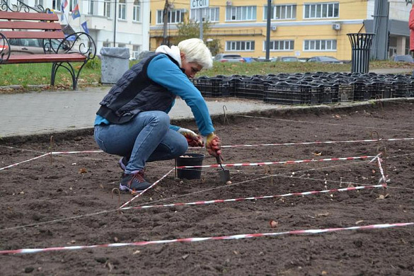 Почти 100 тысяч тюльпанов украсят Иваново весной
