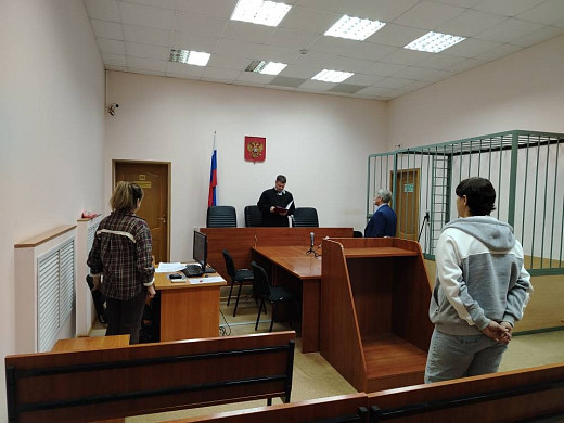 В Вичуге женщина отправится в колонию-поселение за долг по алиментам в 1,7 млн рублей