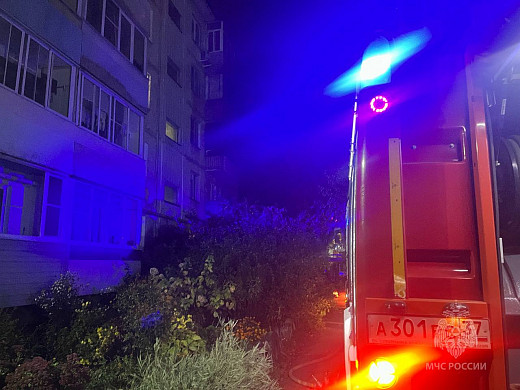 В Иванове во время пожара в многоэтажке эвакуировали взрослых, детей и собак