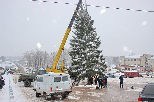В Кинешме установили главную новогоднюю ель