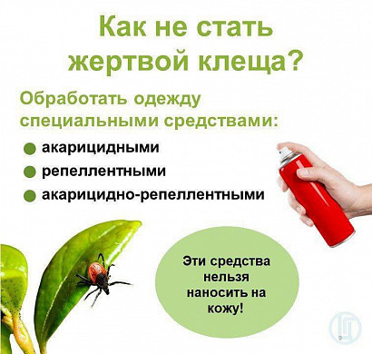  В Ивановской области от укусов клещей пострадали 1300 человек 