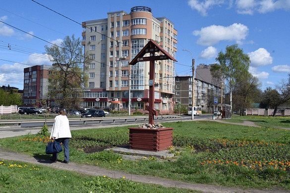 В Иванове высадят 150 тысяч декоративных однолетников 