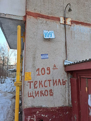 В подвале дома заживо замуровали кошек