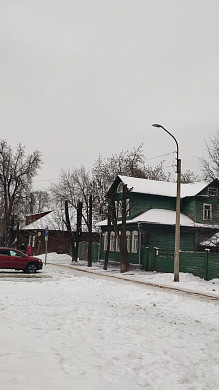 Рядом с музеем семьи Бубновых в Иванове изуродовали деревья