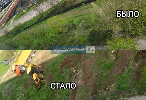 В Иванове тепловики уничтожили деревья на Кохомском шоссе