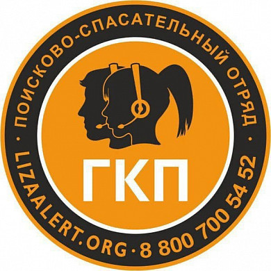  Ивановский отряд «Лиза Алерт» ищет волонтёров в группу коротких прозвонов 