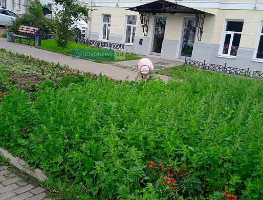 На проспекте Ленина женщина полет траву по своей инициативе