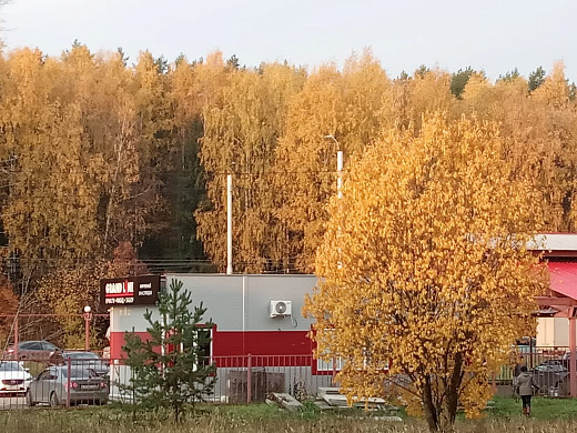 Пенсионерку из Суховки замуровали