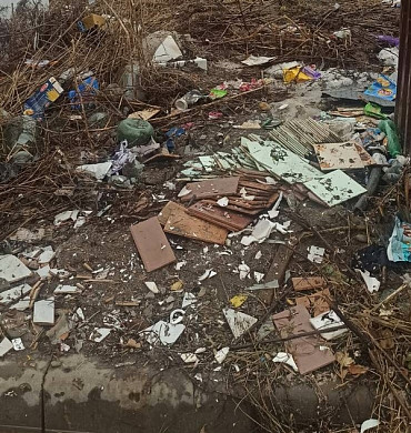  В Кохме обнаружились поля «мусорных подснежников» 