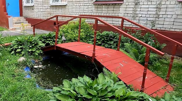 В ивановском детском саду поселилось семейство чаек