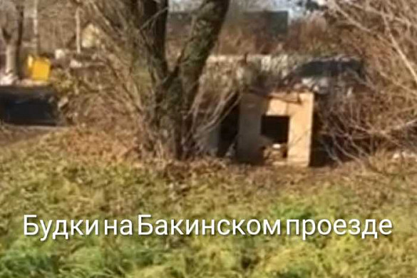 С начала года с ивановских улиц отловили 465 собак
