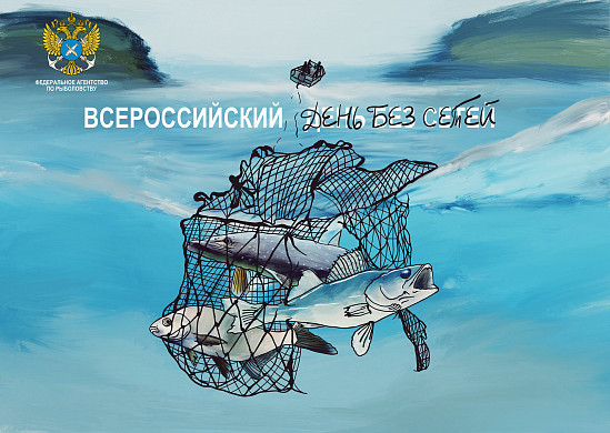 В Ивановской области пройдет День без сетей 
