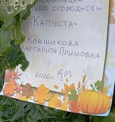 В Иванове проходит ярмарка День урожая 