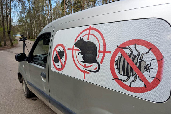 В Иванове очистили от клещей все городские парки 