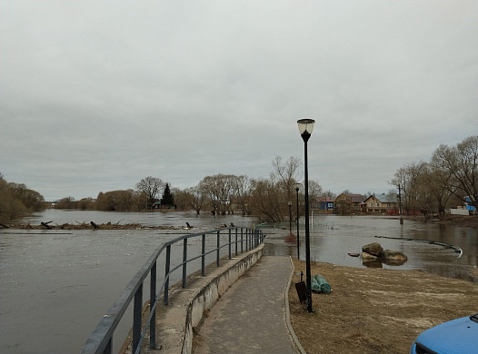 В Холуе под воду уходят приусадебные участки 