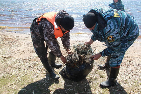 В Ивановской области пройдет День без сетей 