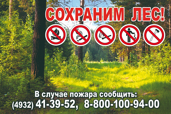 В Ивановской области сократилось количество лесных пожаров