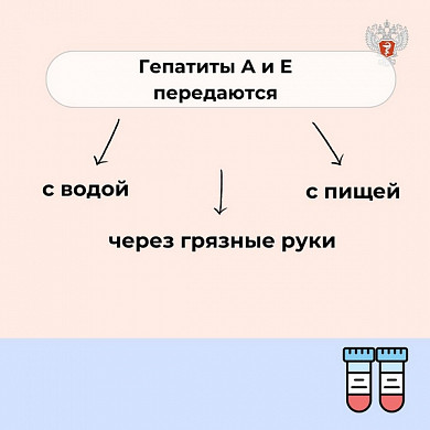  Более 700 человек в Ивановской области вылечились от гепатита С 