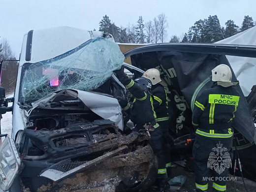 В результата аварии в Палехском районе мужчина оказался зажат в микроавтобусе