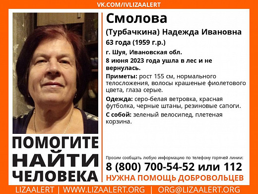  В Ивановской области в лесу потерялась пенсионерка 