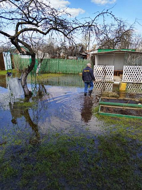 В Иванове десятки садовых участков ушли под воду