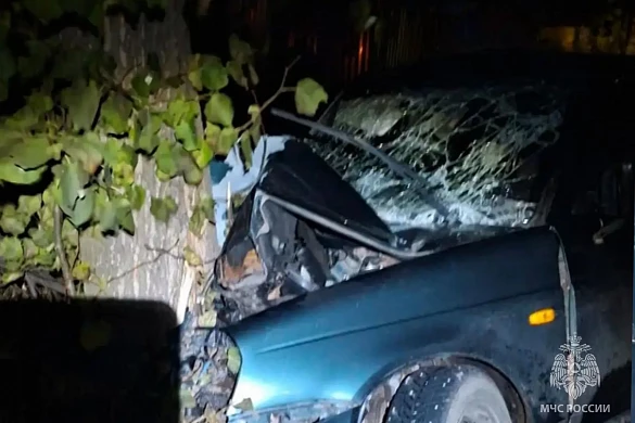 В Юже автомобиль влетел в дерево: пострадали четверо человек