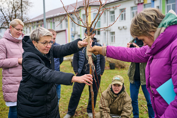 Как «Нейрософт» превратил шаги в деревья для города
