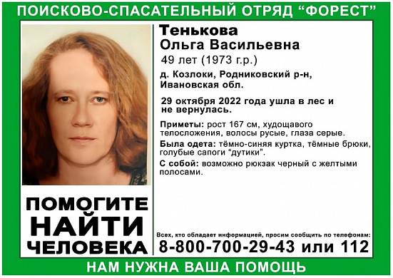 В Ивановской области поиск пропавшей в лесу женщины решили отложить до весны