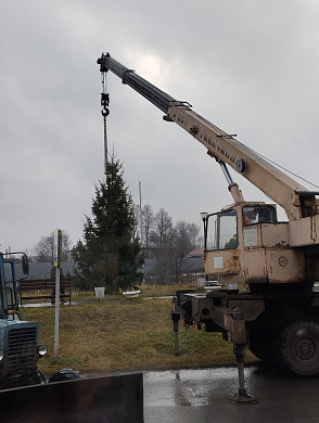 В Холуе уже установили новогоднюю елку