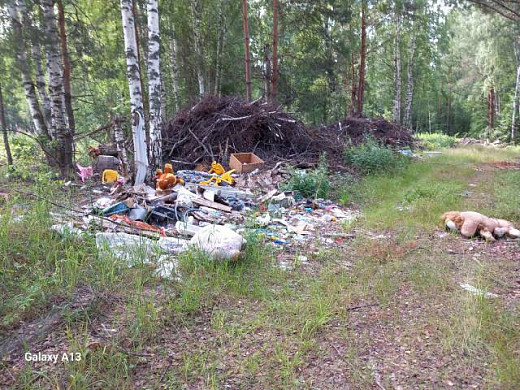В Южском районе рядом с рекой свалка мусора