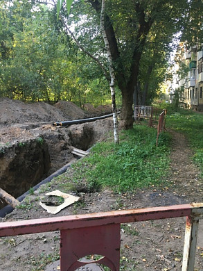 В Иванове спилили деревья ради стоянки